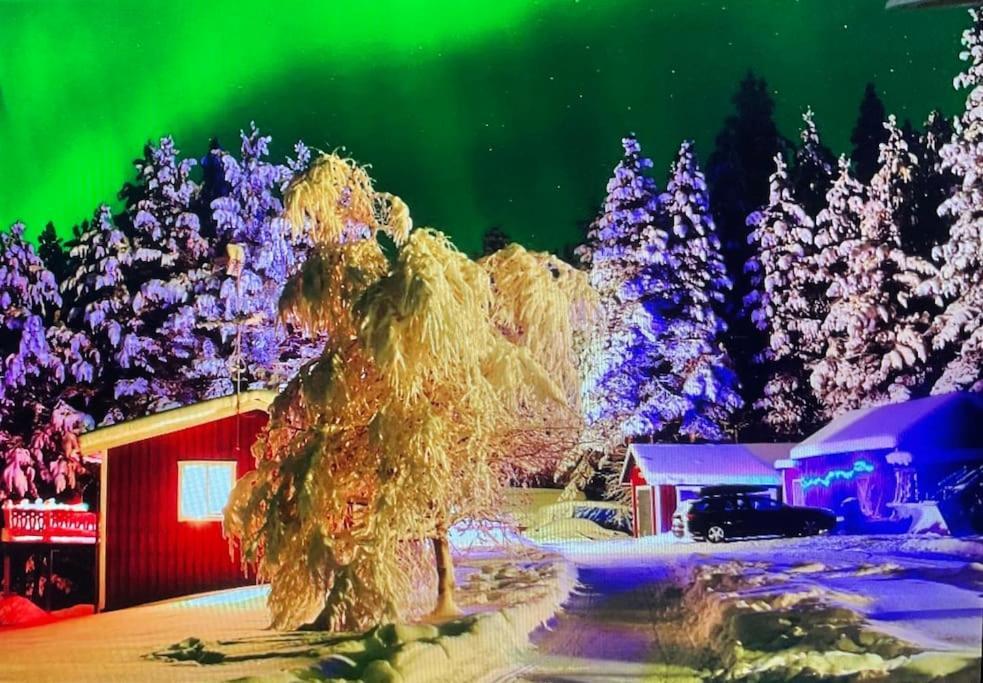 Lakeside Wilderness Cabin Jokkmokk Esterno foto