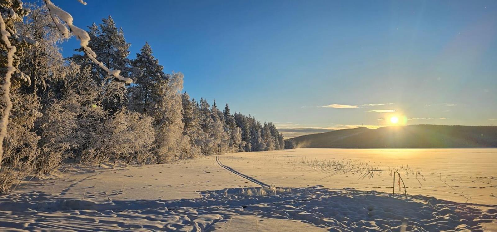 Lakeside Wilderness Cabin Jokkmokk Esterno foto