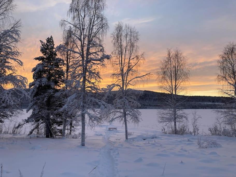 Lakeside Wilderness Cabin Jokkmokk Esterno foto