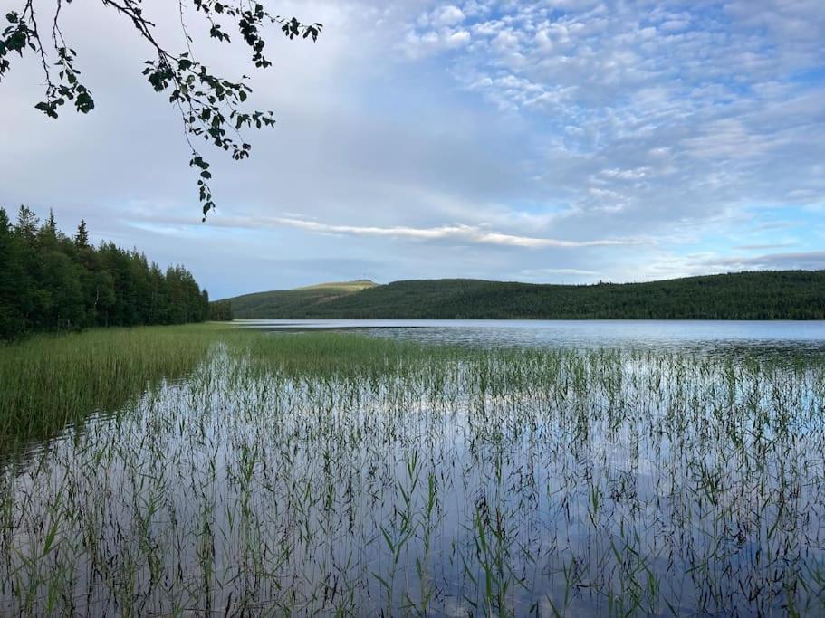 Lakeside Wilderness Cabin Jokkmokk Esterno foto