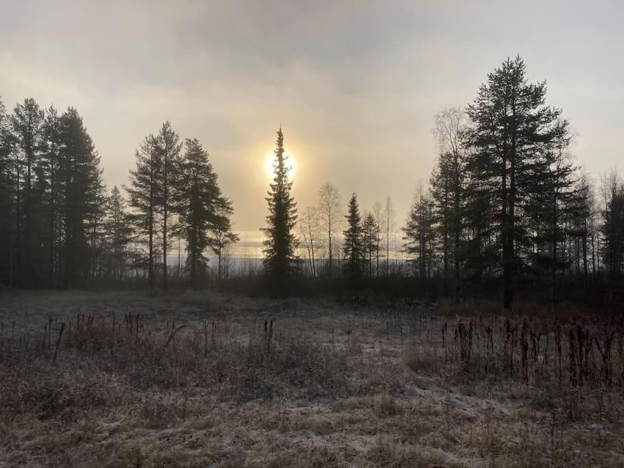 Lakeside Wilderness Cabin Jokkmokk Esterno foto