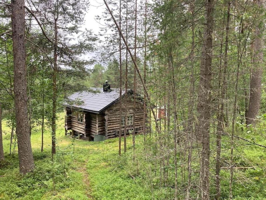 Lakeside Wilderness Cabin Jokkmokk Esterno foto